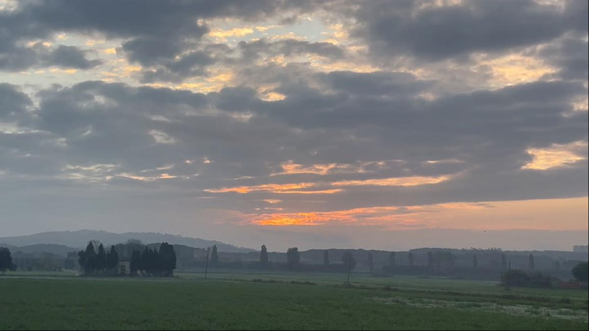 Niebla madrugadora en los campos de Mont-ras