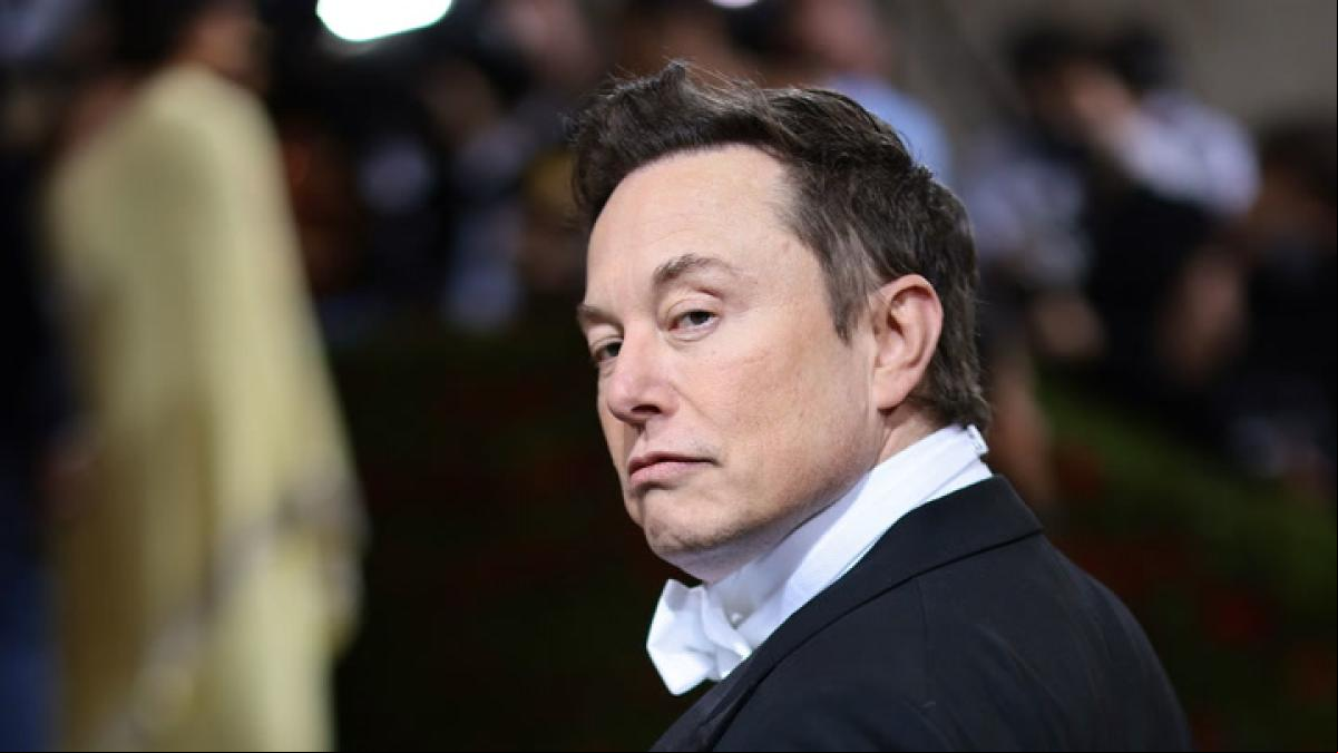 Musk busca meterse en la Casa Blanca Musk busca meterse en la Casa Blanca