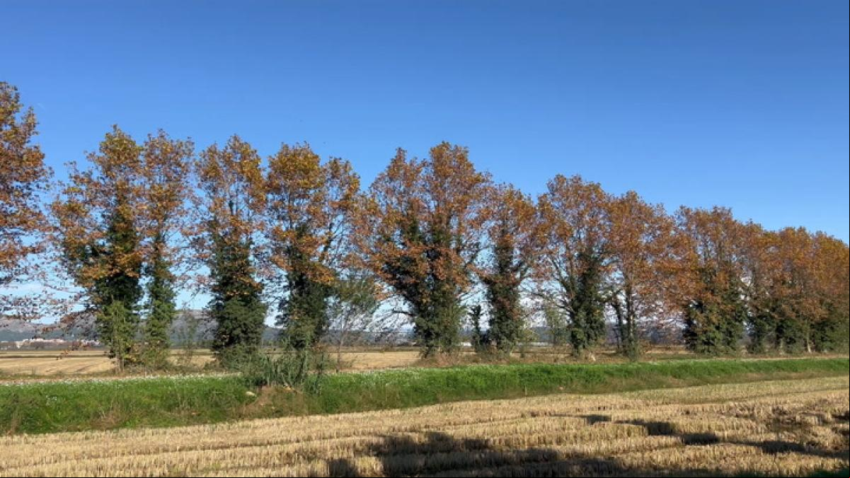 Otoño en en Fontanilles, Baix Empordà, el día después de la tormenta Otoño en en Fontanilles, Baix Empordà, el día después de la tormenta