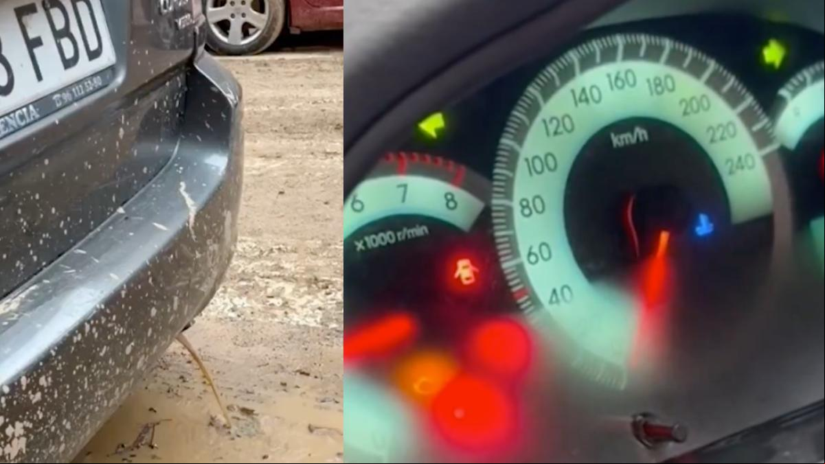 La alegría de una joven al comprobar que su coche todavía funciona después de las inundaciones de la DANA: “Esta marca nunca falla”