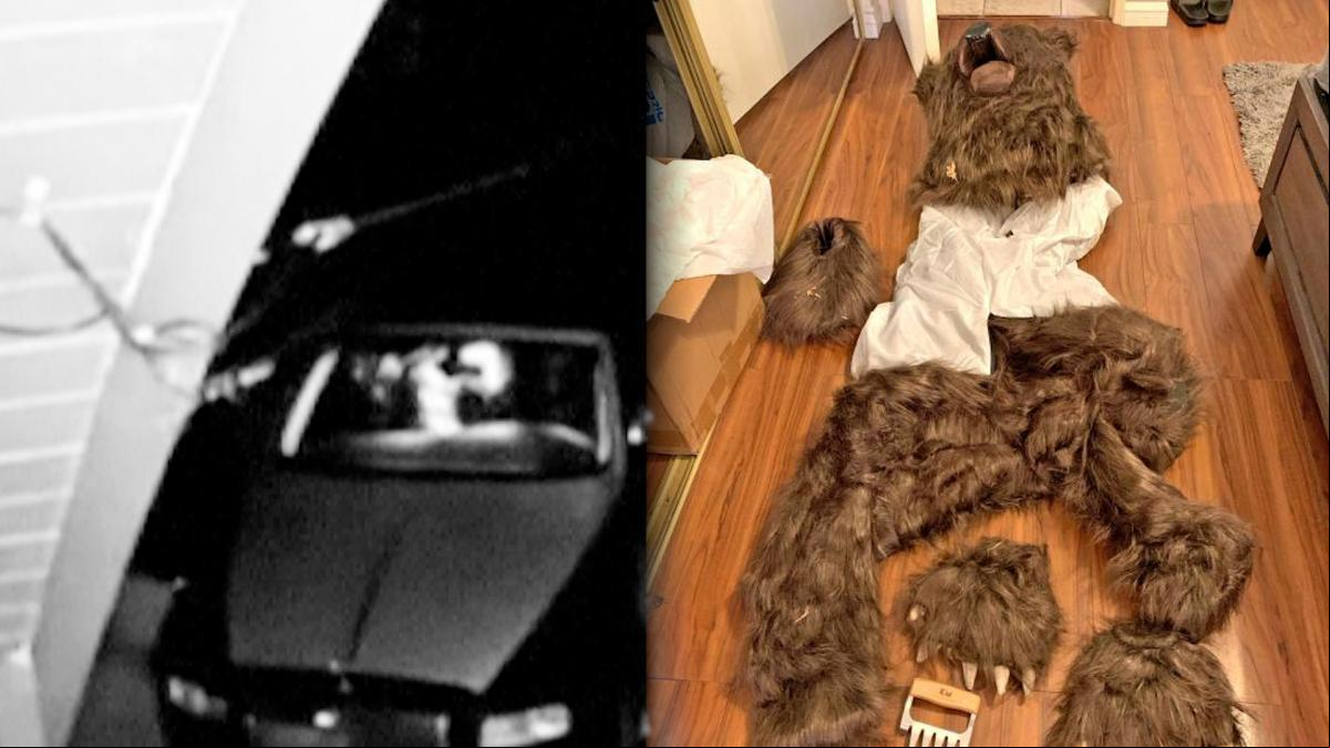 Cuatro detenidos por disfrazarse de oso y simular ataques a sus coches para cobrar el seguro