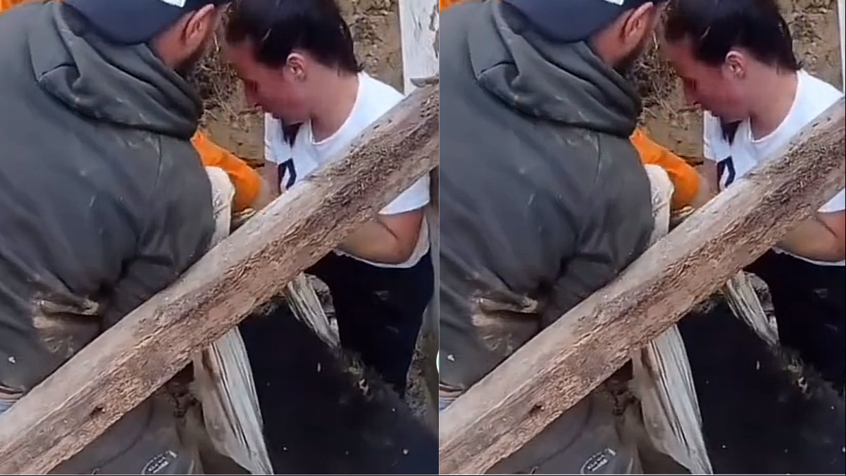 Varias personas consiguen rescatar a un mastín de 90 kilos atrapado en el fango por la DANA de Málaga: “Héroes sin capa”