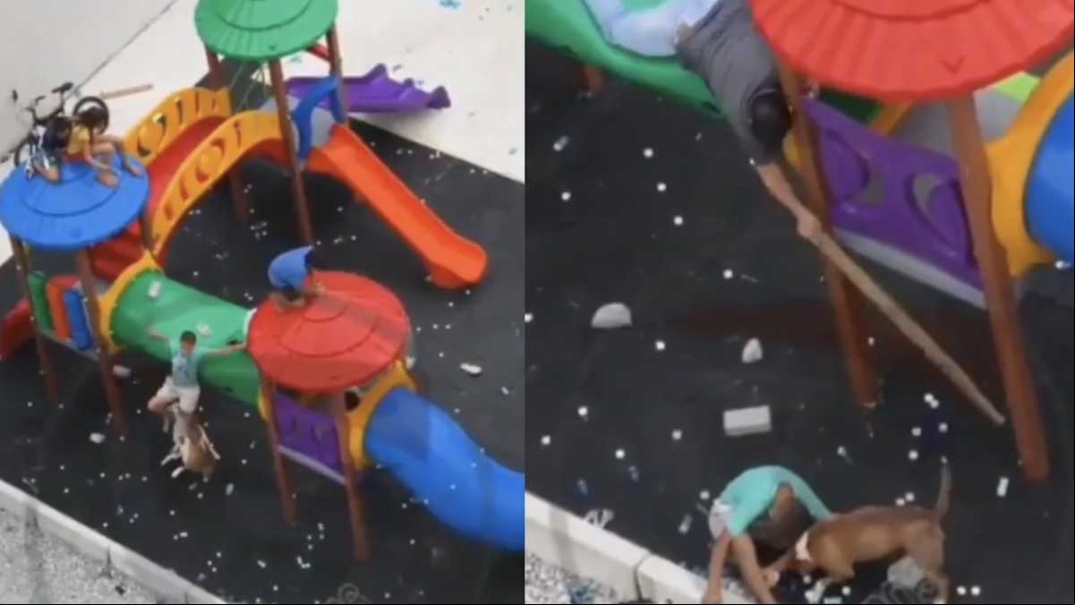 El terrible ataque de dos pitbulls a dos niños en un parque infantil de Brasil