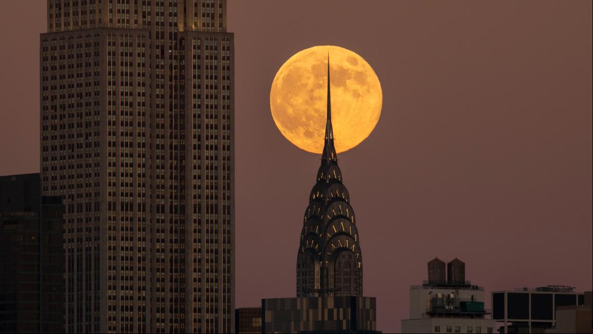 Las hormigas del Empire State