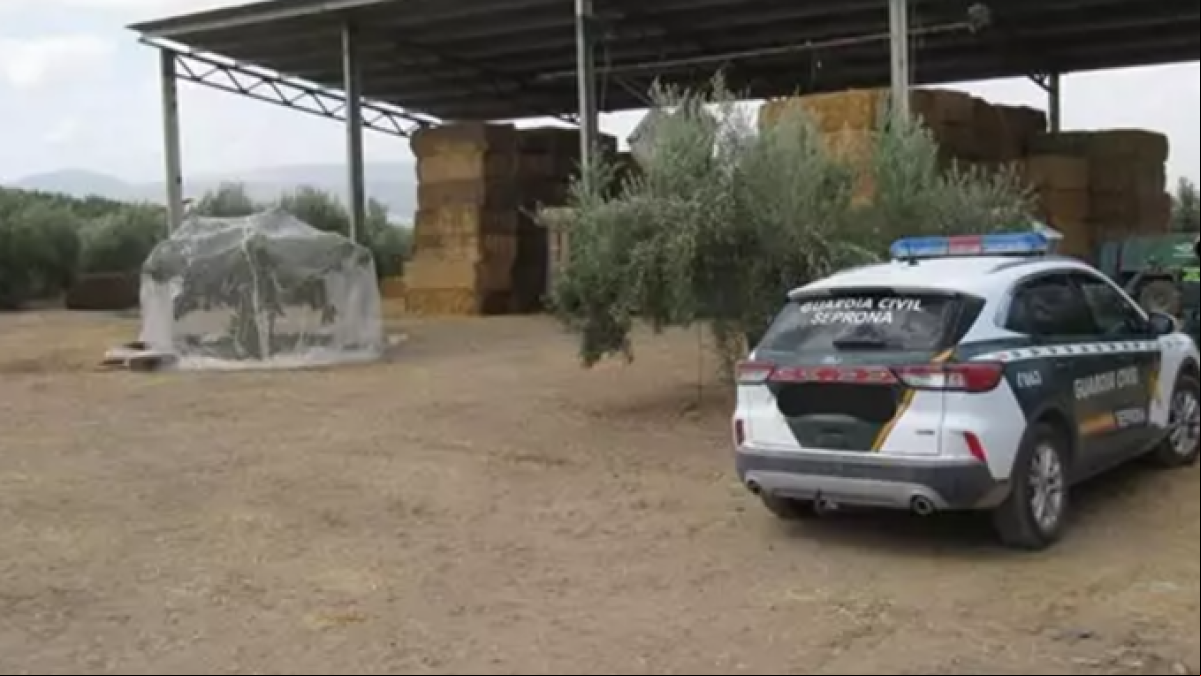 Dos investigados en Jaén por la muerte con alimento contaminado de 13 caballos de pura raza