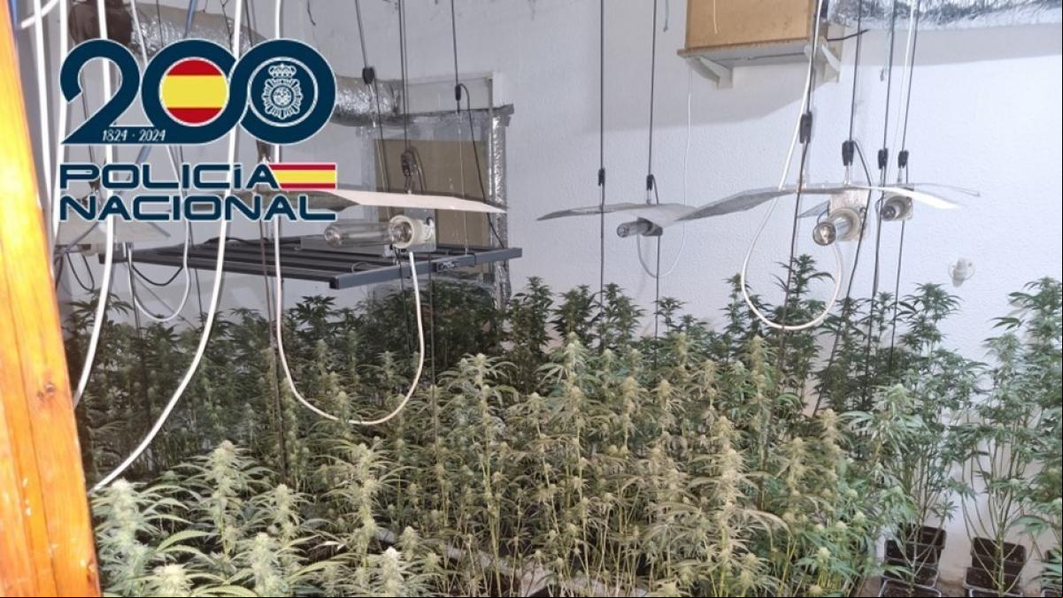 Explotación en Granada: dos familiares encierran a un discapacitado para trabajar en plantaciones de marihuana