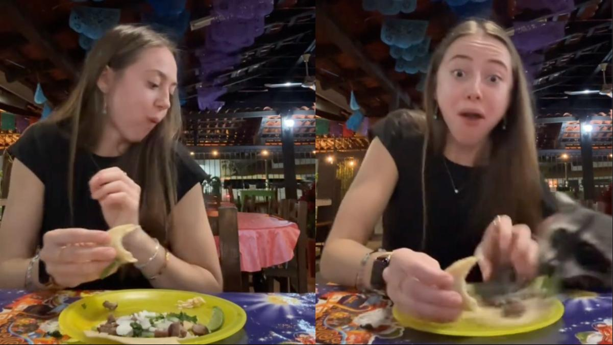 Va a una taquería en México y aparece un mapache que le arruina la cena: “Experiencia completa”