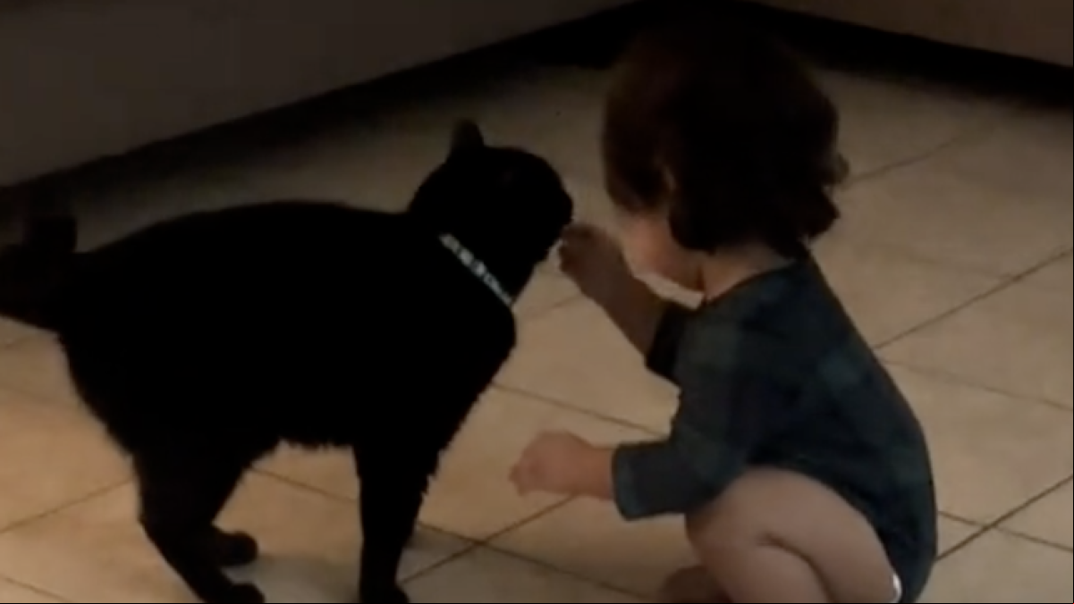Su hija no para de pedirle queso y la acaba pillando compartiendo el botín con el gato