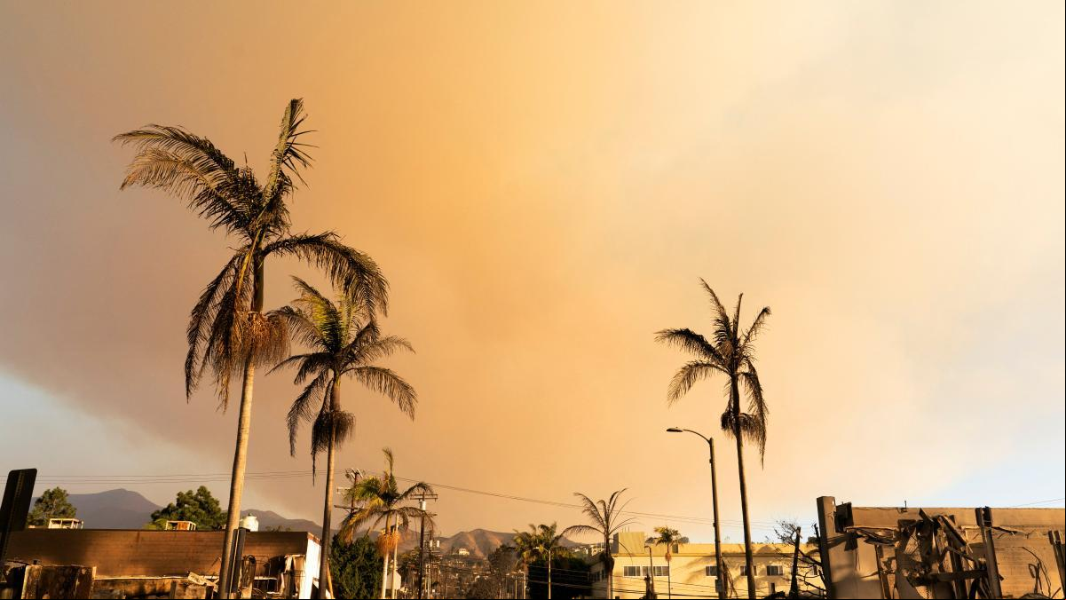 Arde Hollywood