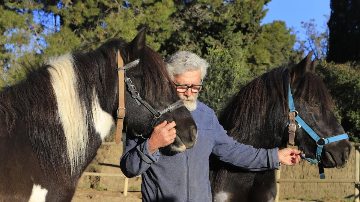 Cuando te abraza tu caballo