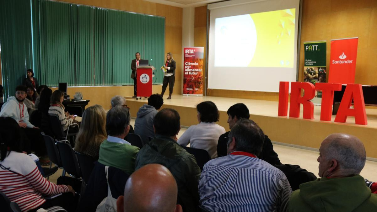 Arroceros y expertos mundiales analizan cómo garantizar un cultivo clave para la seguridad alimentaria