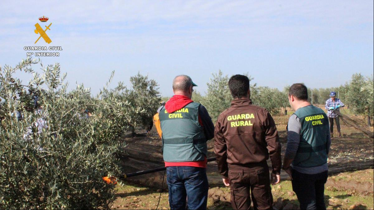 Detenidos en Sevilla por explotar en el campo a inmigrantes de un centro de acogida