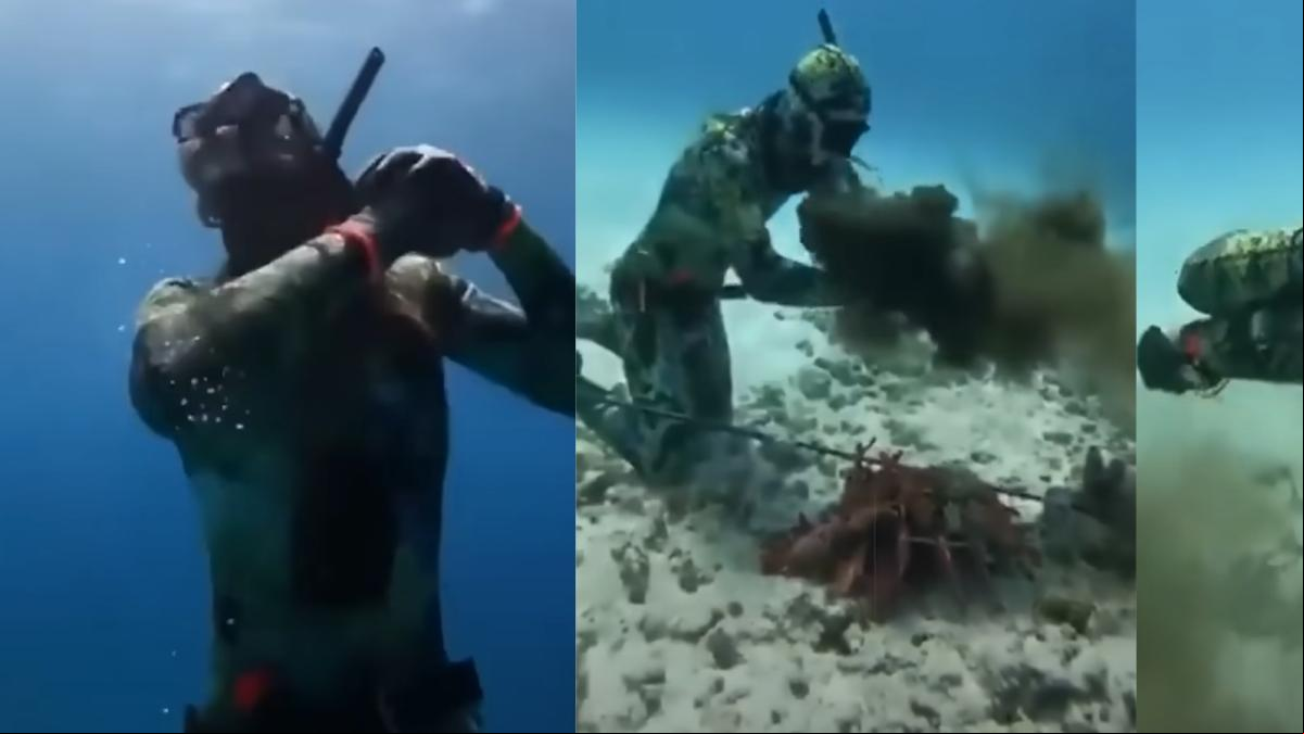 La angustiosa escena en la que un pulpo está a punto de matar por asfixia a un buzo que quería observarle