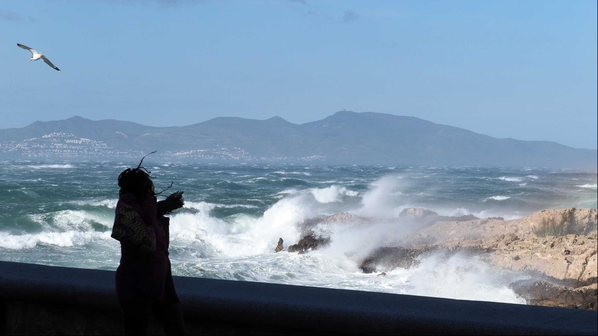El fort vent talla la circulació de trens i de diverses carreteres