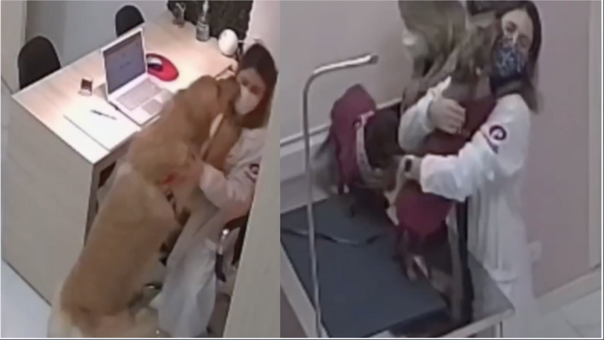 La emotiva reacción de los pacientes cuando visitan a su veterinaria: “Una princesa Disney en la vida real”