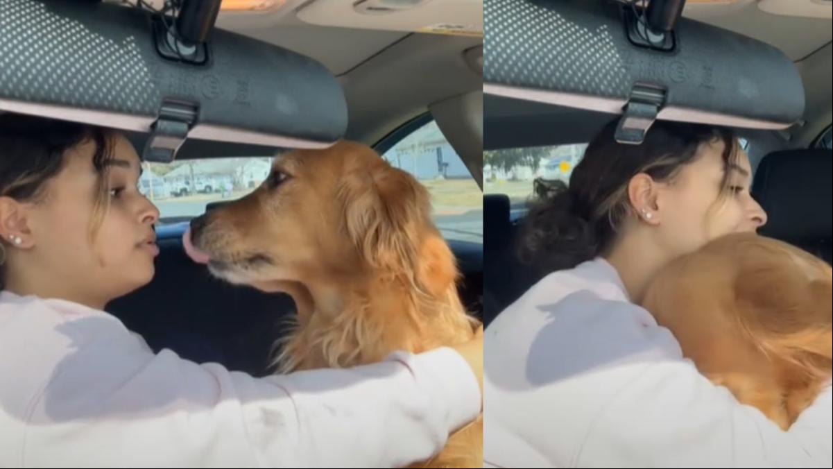 La tierna reacción de un golden retriever cuando su dueña se niega a darle un beso: “Voy a llamar a la policía”