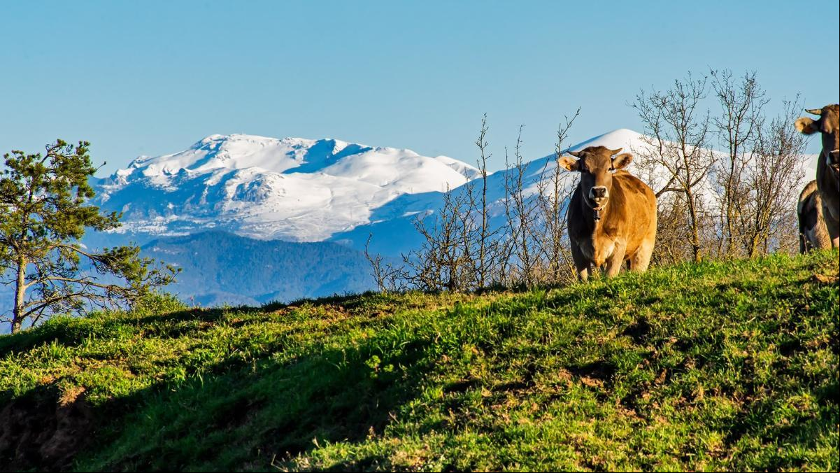 El bucolismo se abona a la primavera