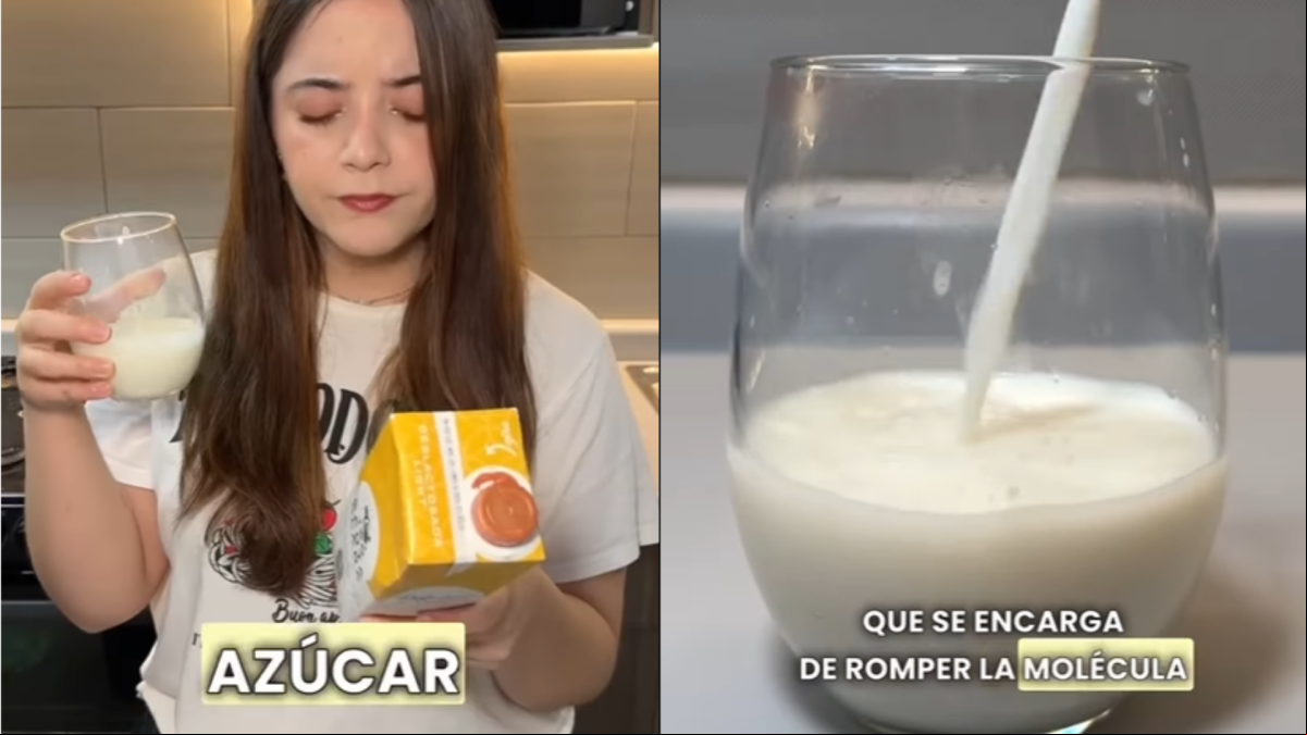 Mariana Zapién, ingeniera de alimentos: “La leche sin lactosa es más dulce porque se le agrega una enzima llamada lactasa”