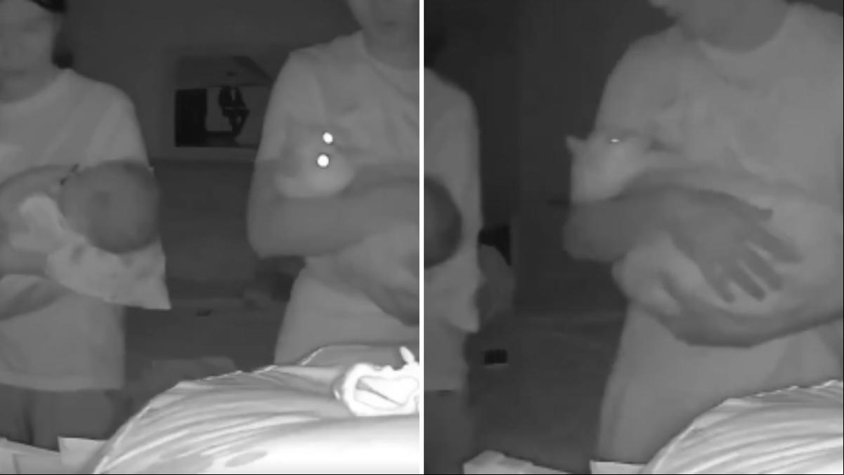 El hilarante momento en el que un gato es balanceado junto a un bebé: “No quería sentirse apartado”