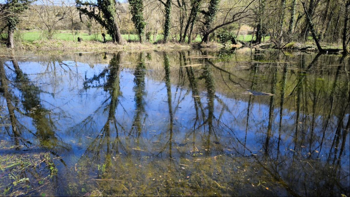 Reflejos de la primavera en la Font Moixina