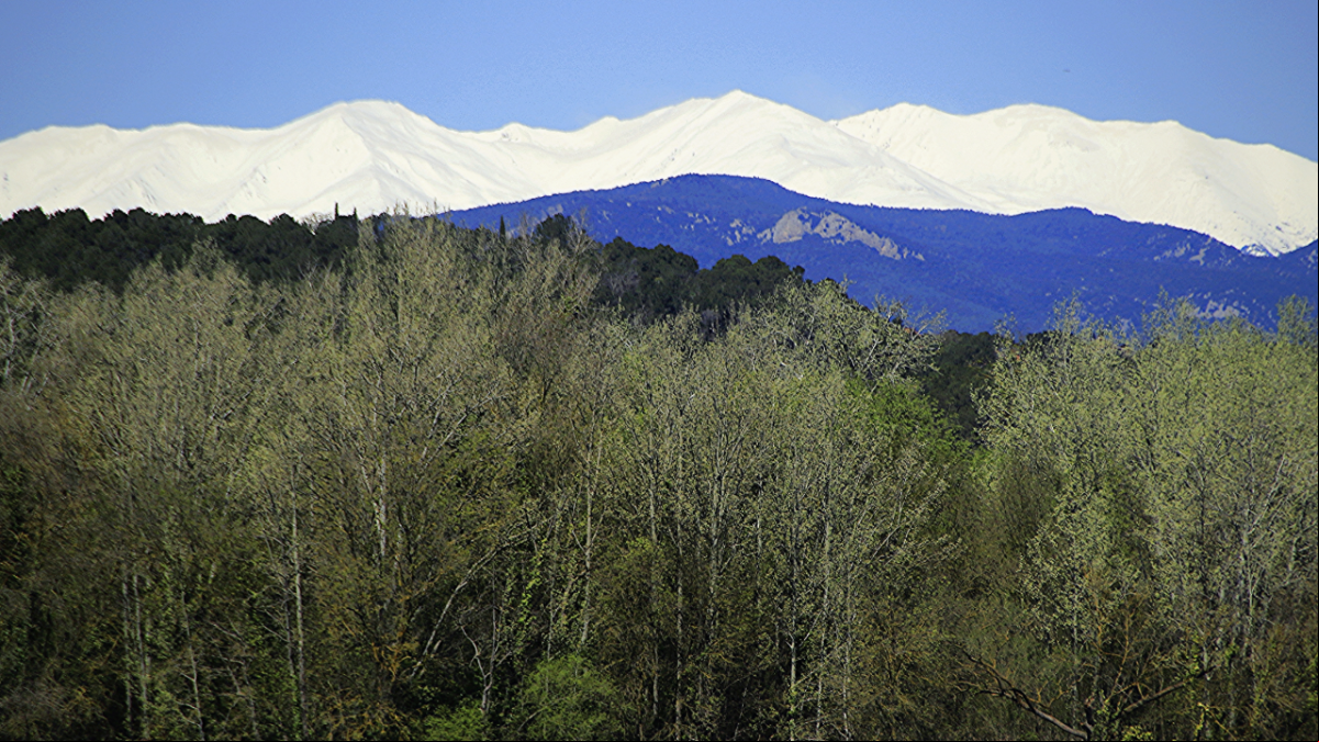 La nieve símbolo de la esperanza