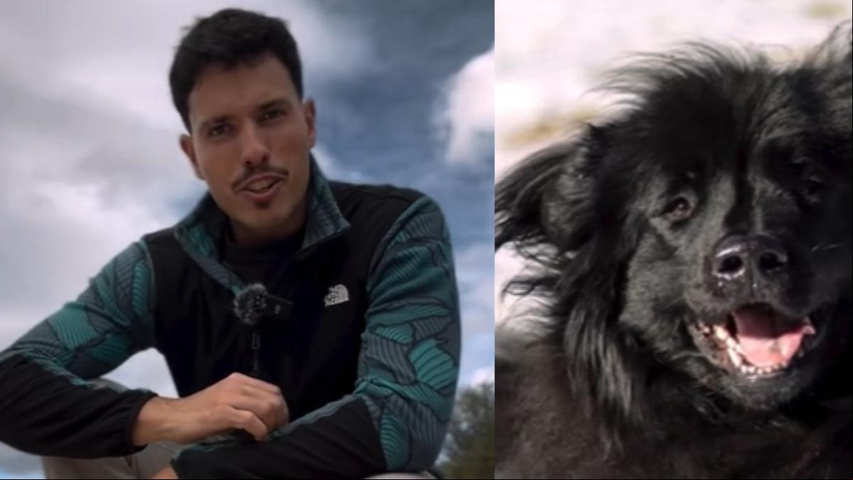 Rafael Cal Estrela, adiestrador canino: “Si tu perro muestra esta sonrisa tensa puede ser signo de estrés, malestar físico o incomodidad, vigílalo”