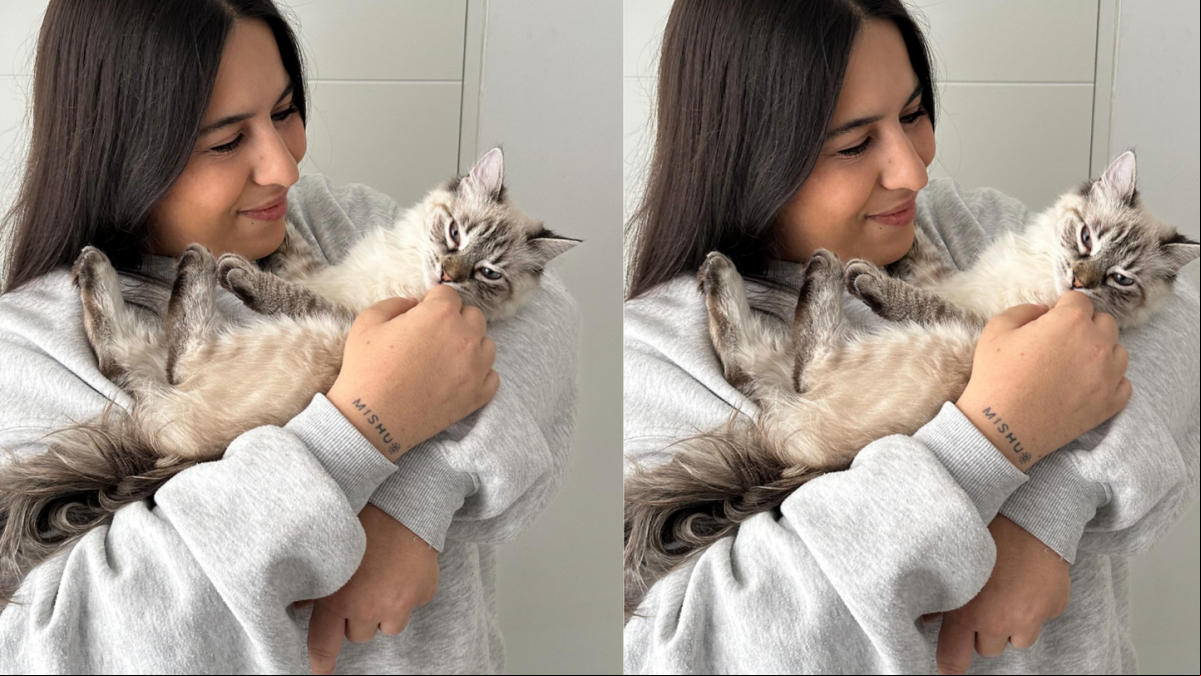 Desirèe Olmeda, experta en gatos: “Con dos ingredientes que tienes en la cocina puedes hacer un snack de colágeno para mantener sus articulaciones, pelo y piel”