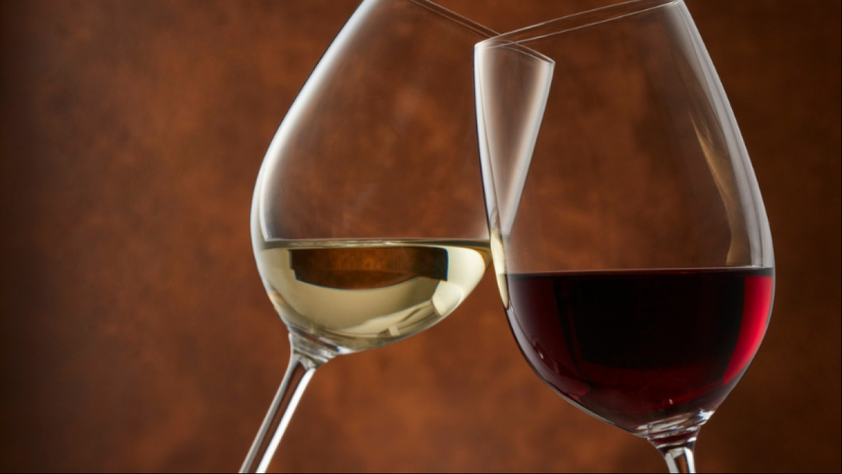 ¿Cuál es la copa adecuada para cada tipo de vino?