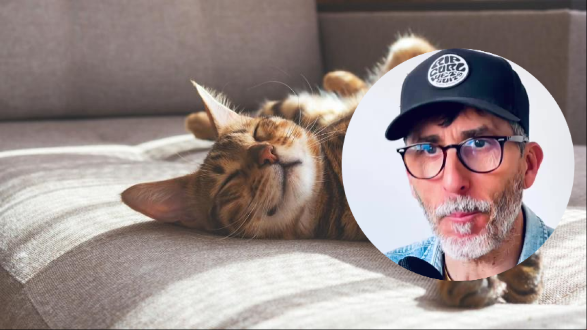 Emilio Ibáñez, cuidador profesional de gatos: “Estos tres hábitos no sirven para nada y lo estresan”