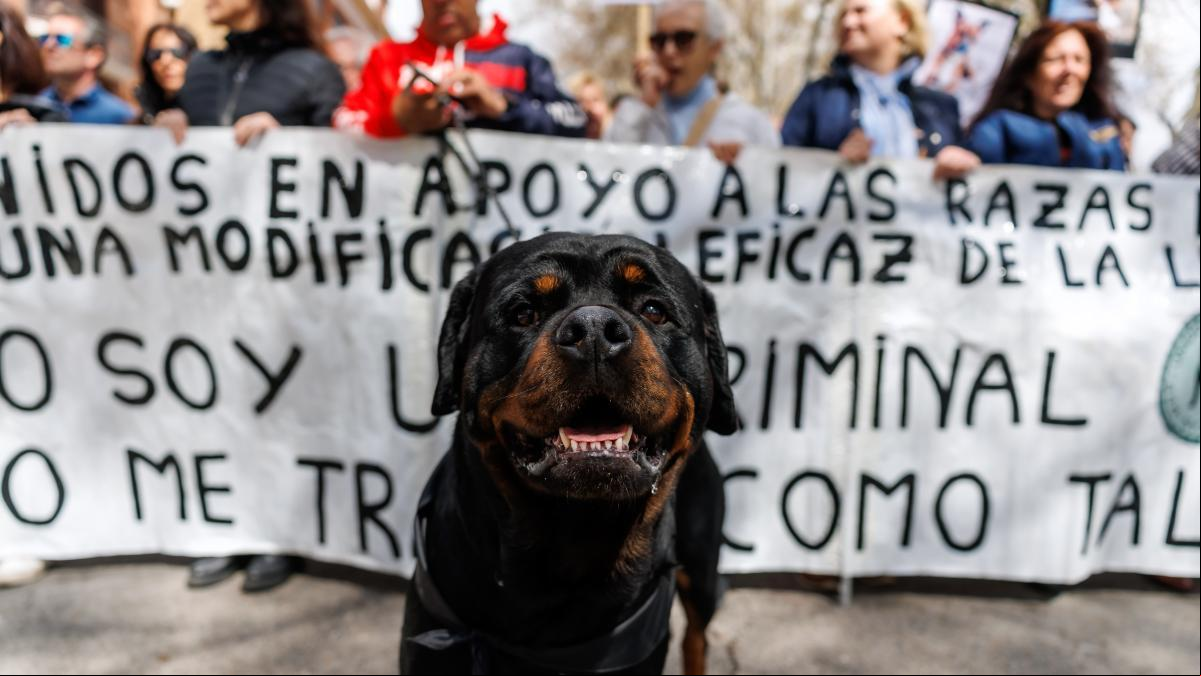 Las imágenes del día