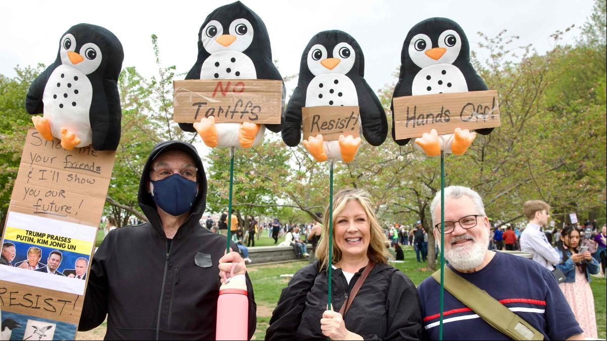 Los pingüinos de las islas Heard y McDonald, activistas involuntarios anti-Trump