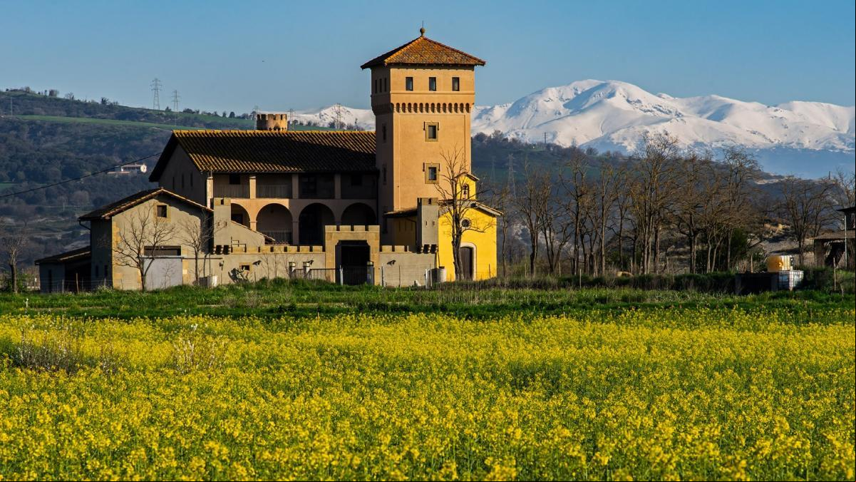 La frontera de color de Els Felius