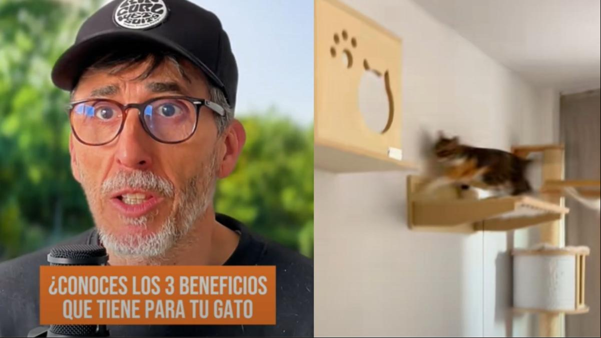 Emilio Ibáñez, educador felino: “Un entorno gatificado combinado con juguetes mentales hará que nuestro gato esté más feliz y saludable”