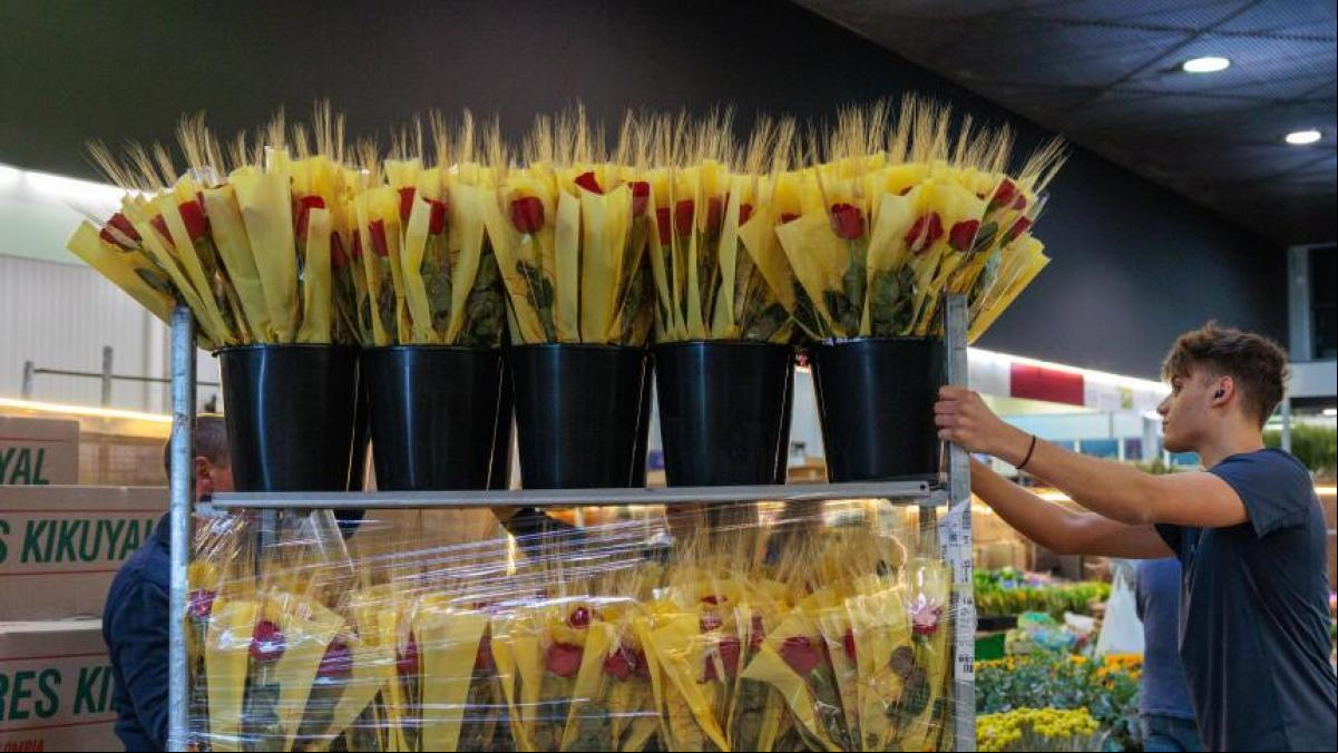 Catalunya aspira a volver a la era precovid por Sant Jordi con la venta de siete millones de rosas