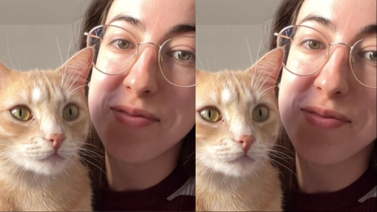 Pilar Guerrero, etóloga felina: “El momento en el que sepas cómo crear una rutina de juego con tu gato, podrás seguir tu día sin más maullidos”