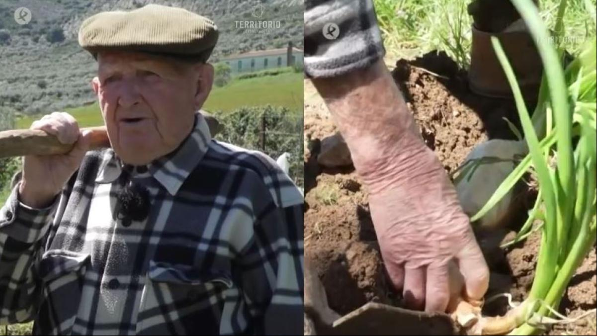 Domingo, el hombre de 101 años que sigue trabajando en el campo, explica el secreto de su longevidad: “Hago de todo y va pasando el tiempo”
