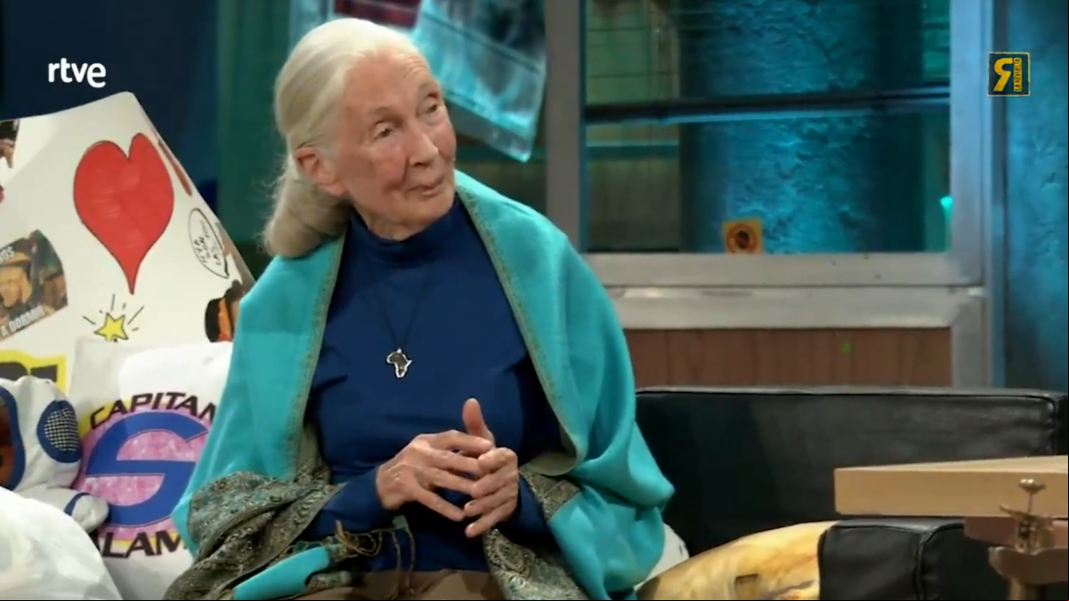 Jane Goodall, etóloga: “Cada día dejamos una huella en el planeta. Tú decides si tu impacto destruye o transforma”