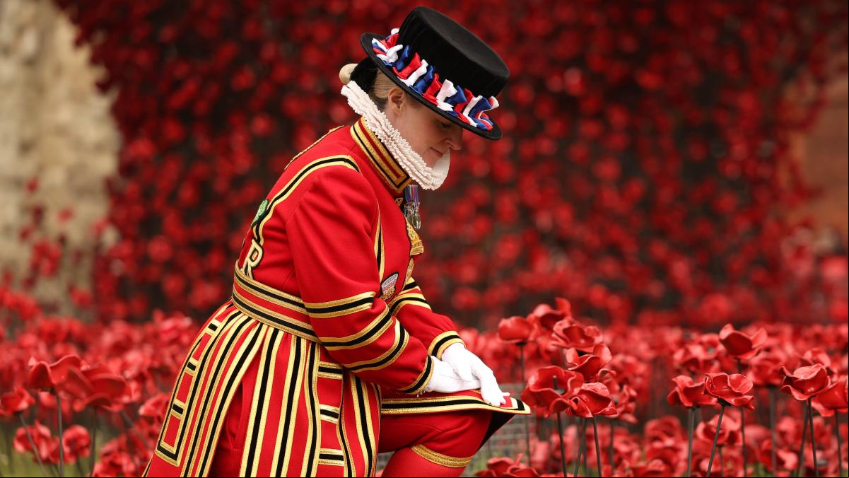 ¿Por qué las amapolas conmemoran a los soldados muertos en las guerras mundiales?