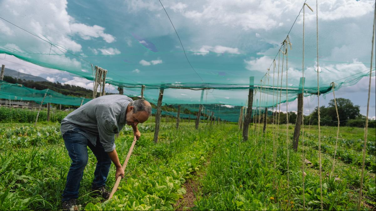 La revolución regenerativa en la alimentación