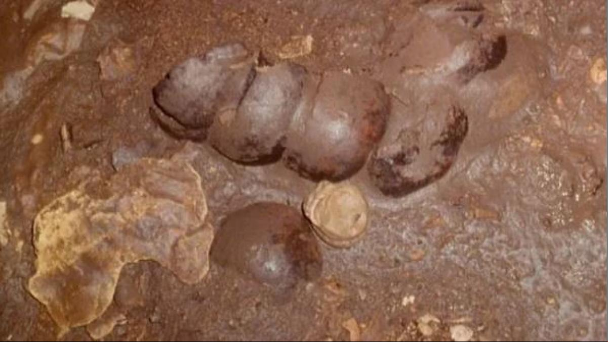 Los numerosos cráneos fragmentados de Cueva de Sangre que revelan un brutal ritual maya en Guatemala para apaciguar al dios de la lluvia