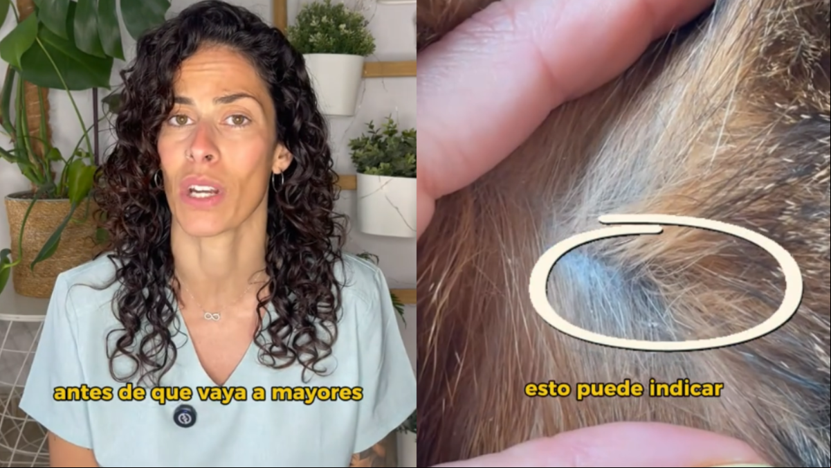 Alba Pérez, veterinaria: “Nuestros peludos nos dan un montón de señales de que algo está pasando en su organismo”