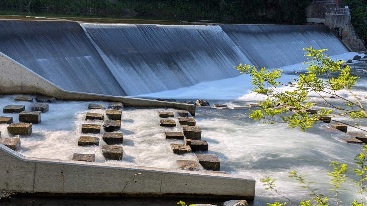 Nueva escalera para peces en el Ter