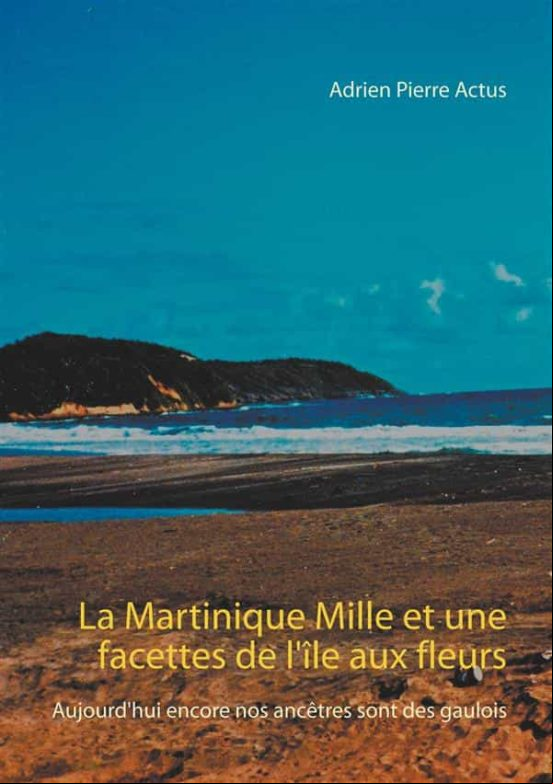 LA MARTINIQUE MILLE ET UNE FACETTES DE LÎLE AUX FLEURS EBOOK (edición en francés)