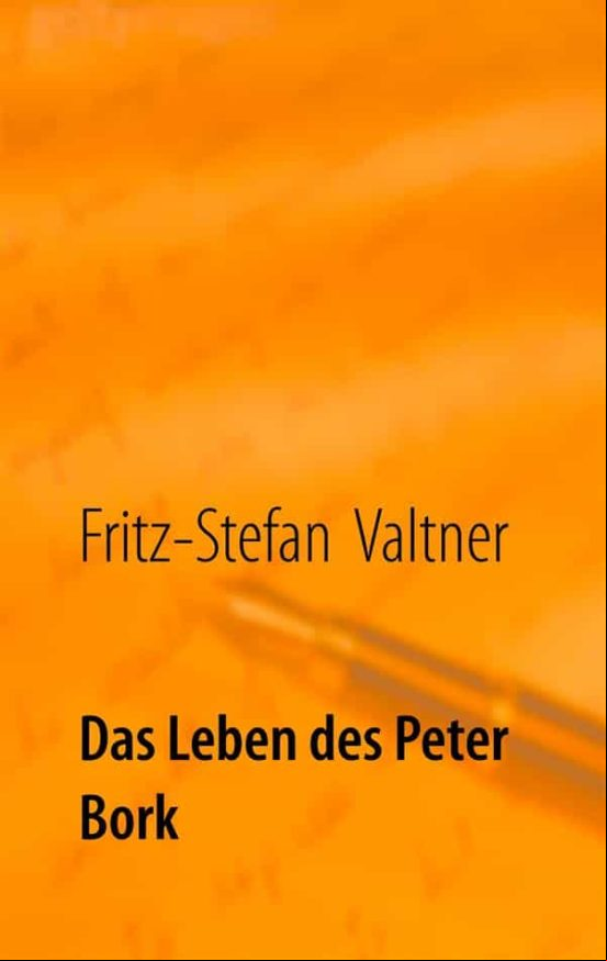 DAS LEBEN DES PETER BORK EBOOK (edición en alemán)
