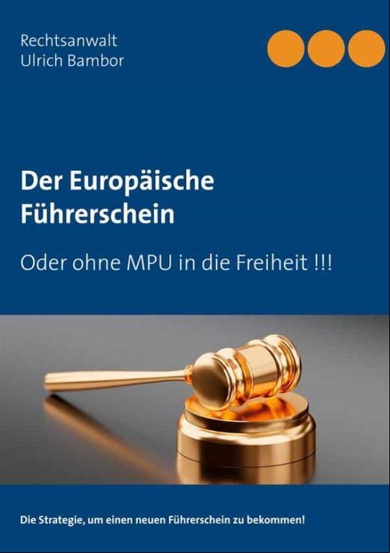 DER EUROPÄISCHE FÜHRERSCHEIN EBOOK (edición en alemán)