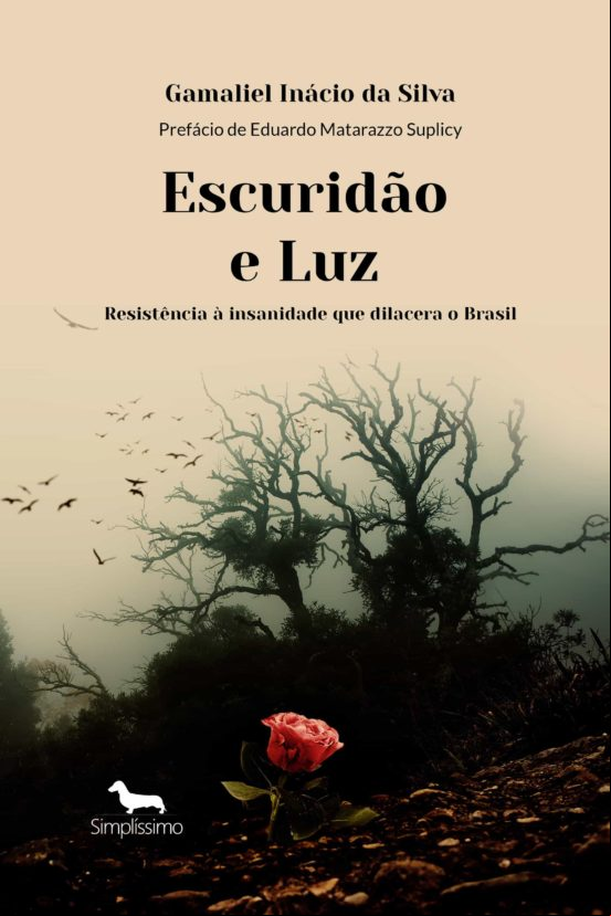 Escuridão E Luz (ebook)