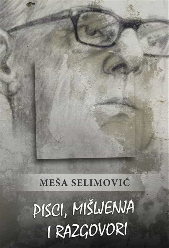 Pisci Mišljenja I Razgovori (ebook)