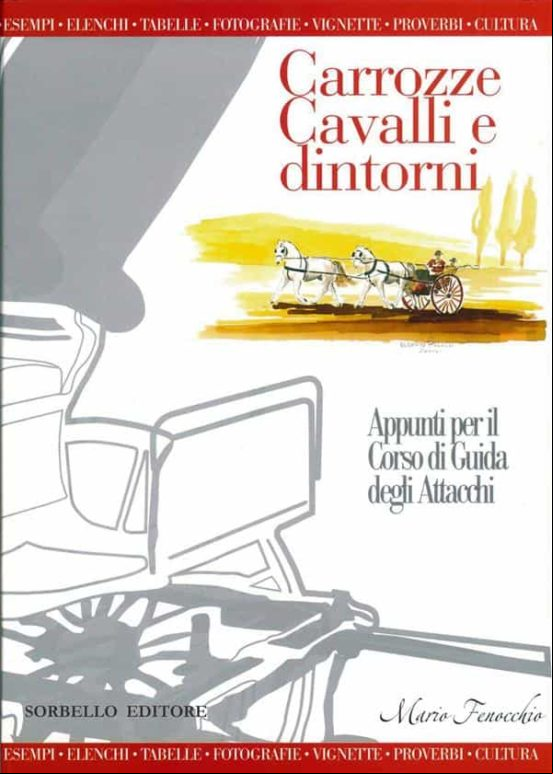 Carrozze Cavalli E Dintorni (ebook)
