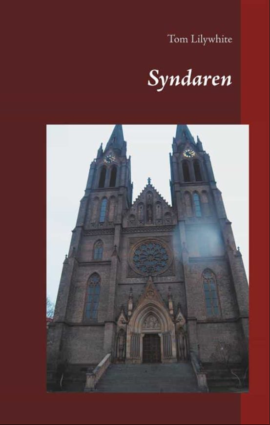 Syndaren (ebook)
