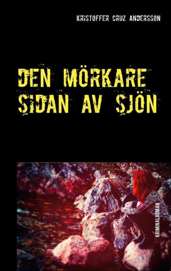 Den Mörkare Sidan Av Sjön (ebook)